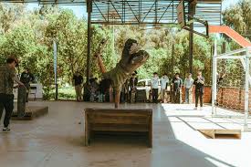 Zapallar Vibra con una Masiva Fiesta del Skate