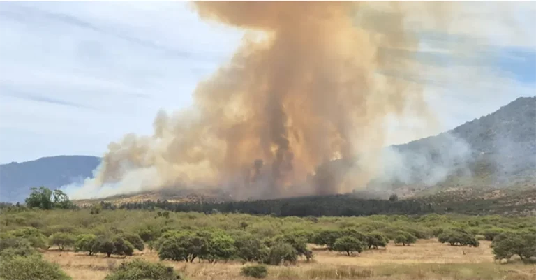 Declaran Alerta Roja en La Ligua y Zapallar por incendio forestal: piden evacuar sector La Foresta